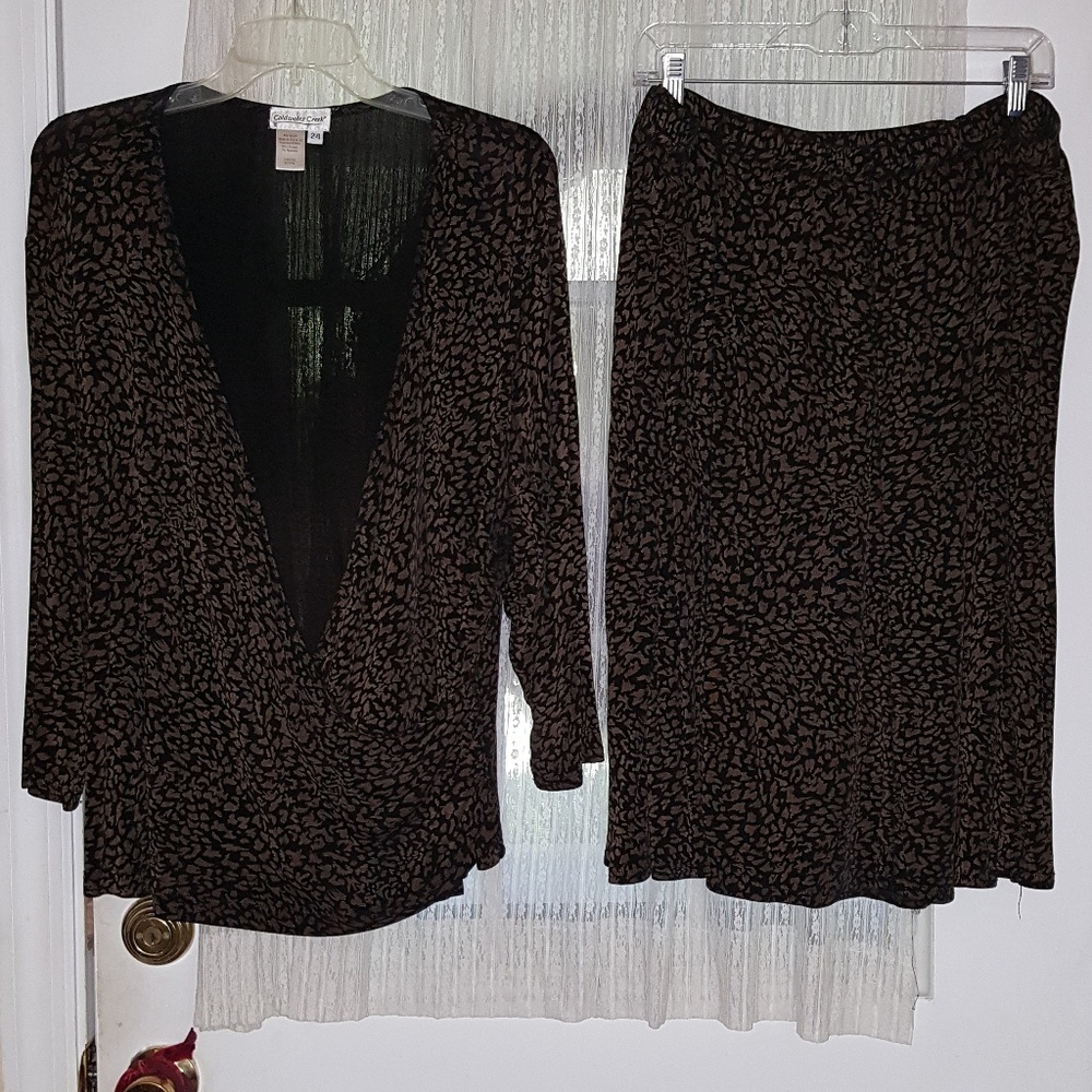 Coldwater Creek Woman 2-pc Dress Size 24